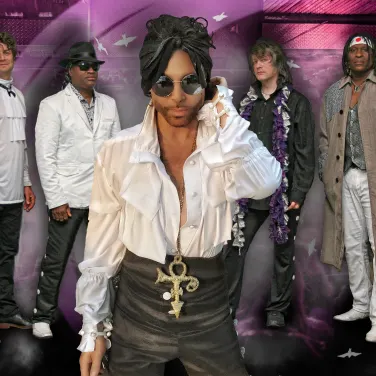 Picture of The Purple Xperience