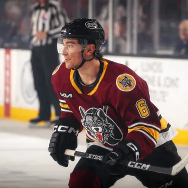 Picture of Chicago Wolves