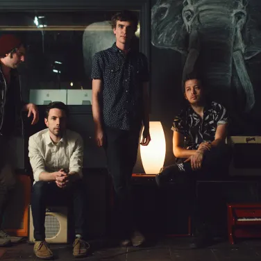 Picture of Wild Party