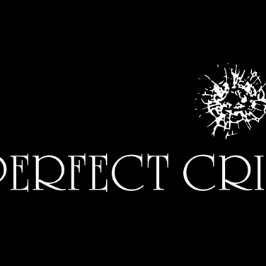 Picture of Perfect Crime