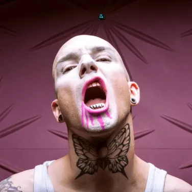 Picture of Aesthetic Perfection