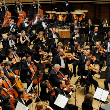 Picture of Budapest Festival Orchestra