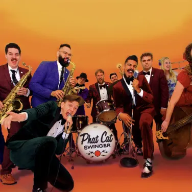 Picture of Phat Cat Swinger