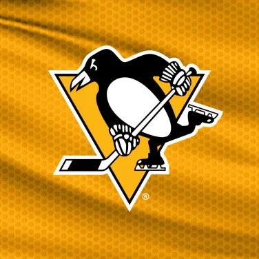 Picture of Pittsburgh Penguins