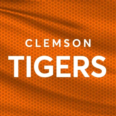 Picture of Clemson University Tigers Womens Basketball