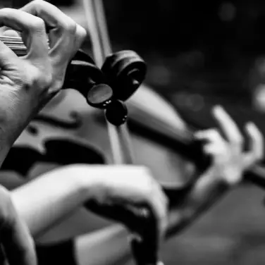 Picture of Dallas Symphony Orchestra