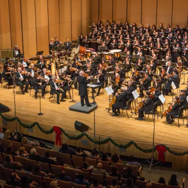 Picture of Valley Symphony Orchestra