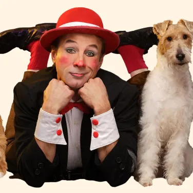Picture of Popovich Comedy Pet Theater