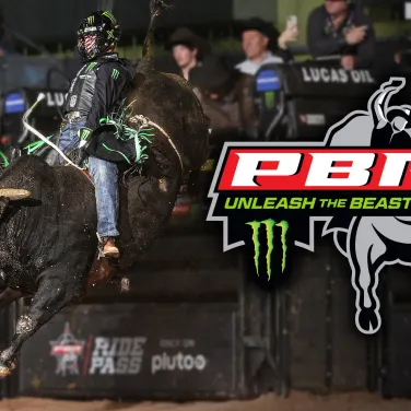 Picture of PBR: Unleash the Beast