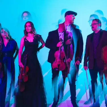 Picture of Vitamin String Quartet