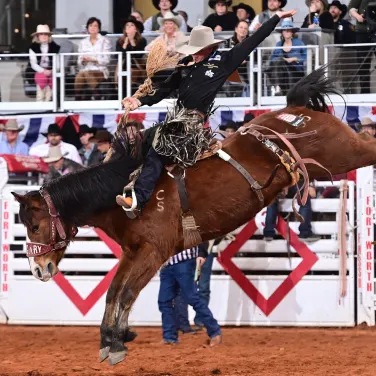 Picture of FWSSR: PRORODEO Tournament - Bracket 6, Round 1