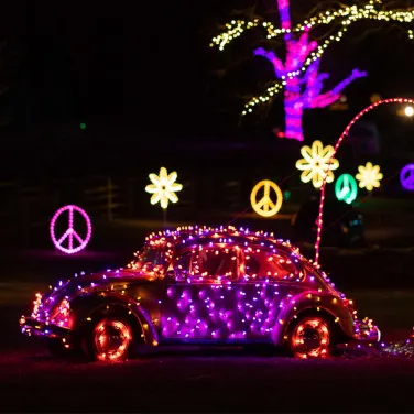 Picture of Peace, Love & Lights