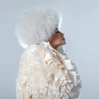 Picture of LADY BLACKBIRD