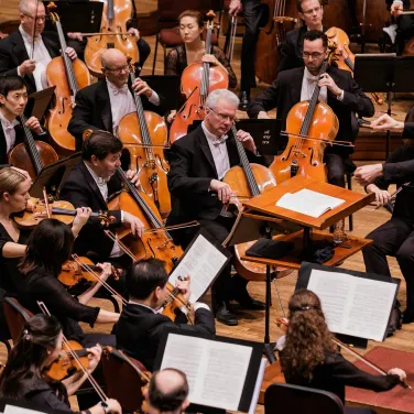 Picture of National Symphony Orchestra: Bruckner???s Seventh
Gerlach plays Haydn
