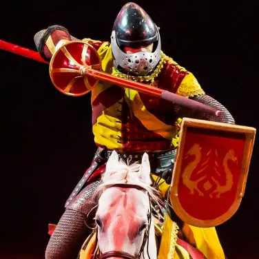 Picture of Tournament of Kings