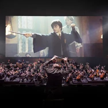 Picture of Harry Potter and the Chamber of Secrets in Concert