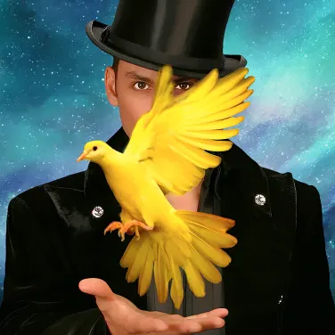 Picture of Allstars of Magic