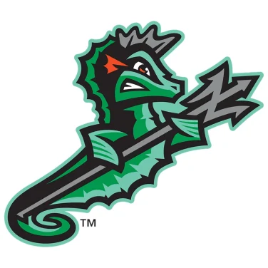 Picture of Norfolk Tides vs. Durham Bulls