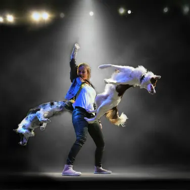 Picture of Mutts Gone Nuts