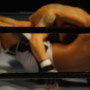 Picture of Fierce Fighting Championships