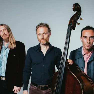 Picture of The Wood Brothers