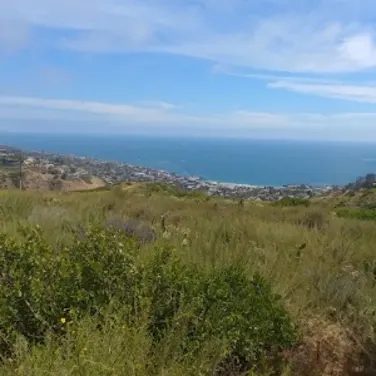 Picture of Irvine Bowl