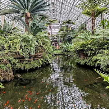 Picture of Garfield Park Conservatory