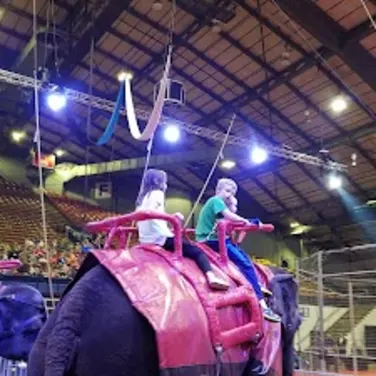 Picture of Sioux Falls Arena