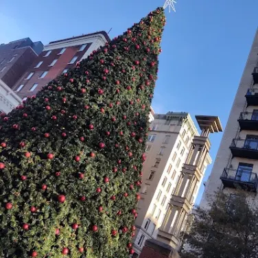 Picture of Downtown Knoxville