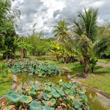 Picture of Fruit and Spice Park