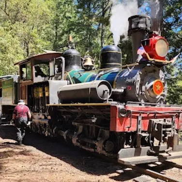 Picture of Roaring Camp Railroads