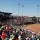Ohio State Buckeyes Softball