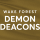 Wake Forest Demon Deacons Baseball