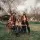 The Paper Kites