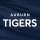Auburn University Tigers Mens Basketball