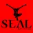Seal Best Remixes 1991-2005