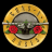 Guns N' Roses