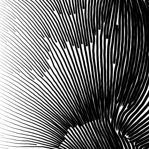 Flowlines fill sample