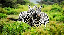 Romantic Holiday Destinations in East Africa