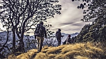 The Best Foods To Bring On A Long Hike