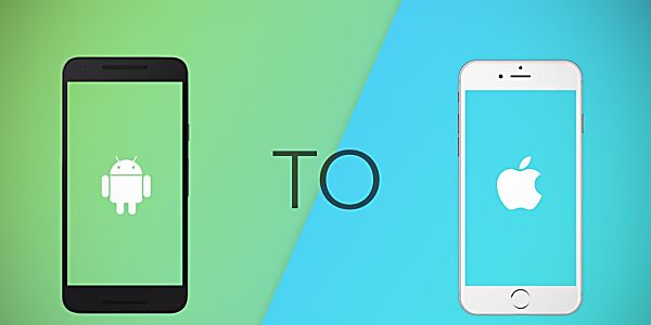The Two-Party System That is Smartphone Production