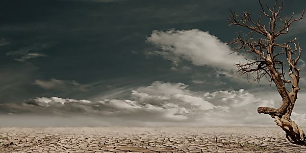 A Silver Lining in the Cloud for African Startups