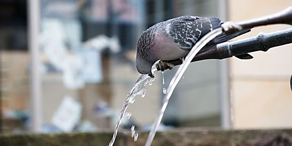 Ecomo Brings the Transparency Back to Your Drinking Water