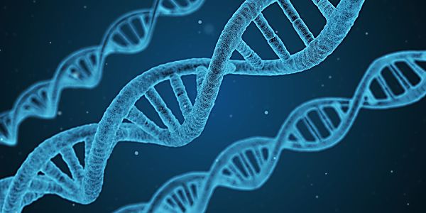 This Gene-Editing Startup Will Change Genetic Disease Intervention Forever