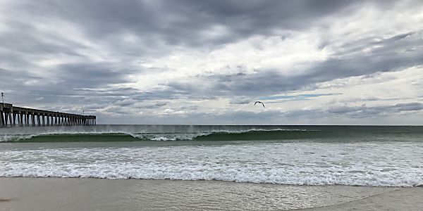 Sustainable Ocean Alliance and Their Plan to Save our Oceans