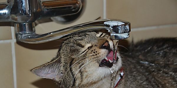 The Internet-Of-Water: How Apana Saves You Money