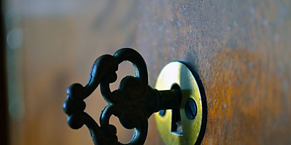 Need to protect your home? Your "Homies" have your back