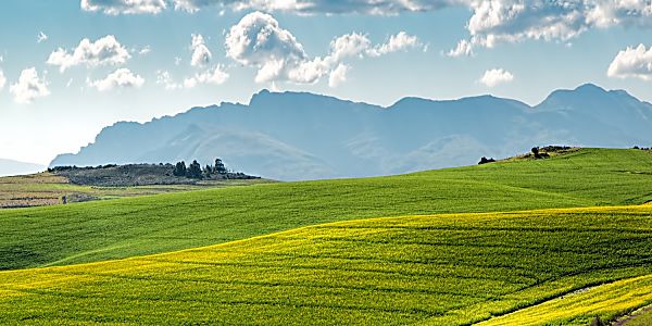 Getting Agriculture Data with Progeny Drone