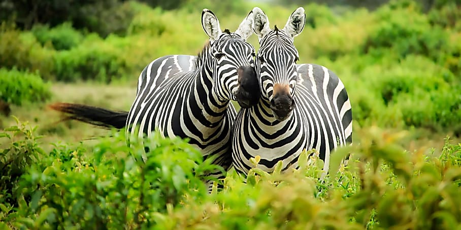 Romantic Holiday Destinations in East Africa