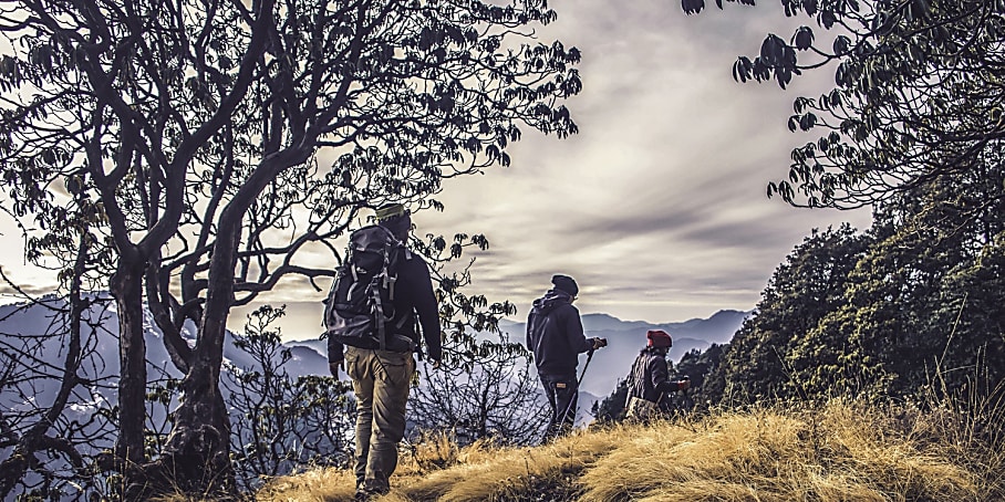 The Best Foods To Bring On A Long Hike